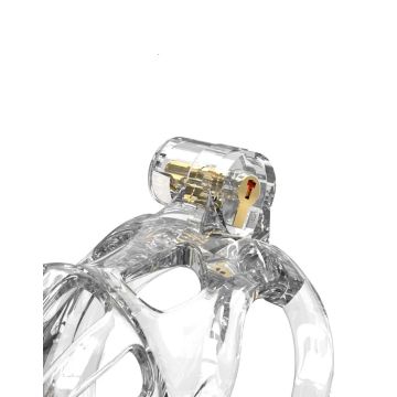 Peniskooi P-Cage PC08 Maat S - Transparant