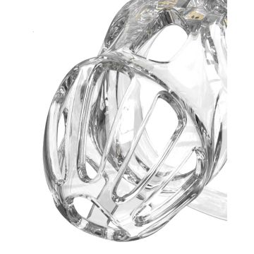 Peniskooi P-Cage PC08 Maat S - Transparant