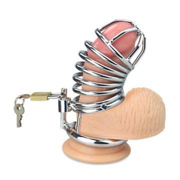 Kuisheidskooi Jailed Metal Chastity Case*