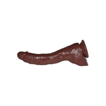 Colt Adam Dexter's Cock