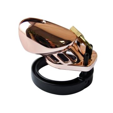 Bronzen Kuisheidskooi met Slot