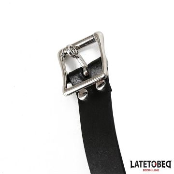 Dubbele Penis Gag Latetobed BDSM Line