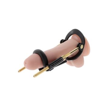 Penis Growth Basic Training Set - Hidden Desire