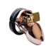 Bronzen Kuisheidskooi met Slot Bronzen Kuisheidskooi met Slot