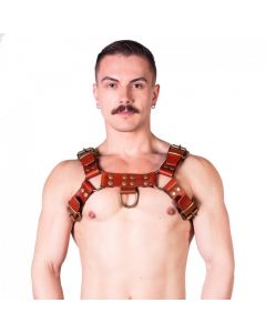 Prowler RED Butch Harness Brown/Brass