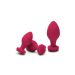 Buttplug Training Set Bouquet Rosegasm Buttplug Training Set Bouquet Rosegasm