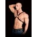 Halter Harnas Adonis - High Halter - Black 