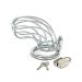 Chastity Device Bird Cage Stainless Steel
