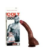 Colt Adam Dexter's Cock
